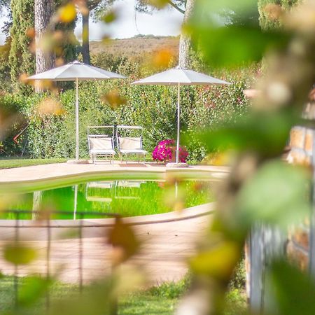 Ai Due Cedri Guest House Capranica Bagian luar foto