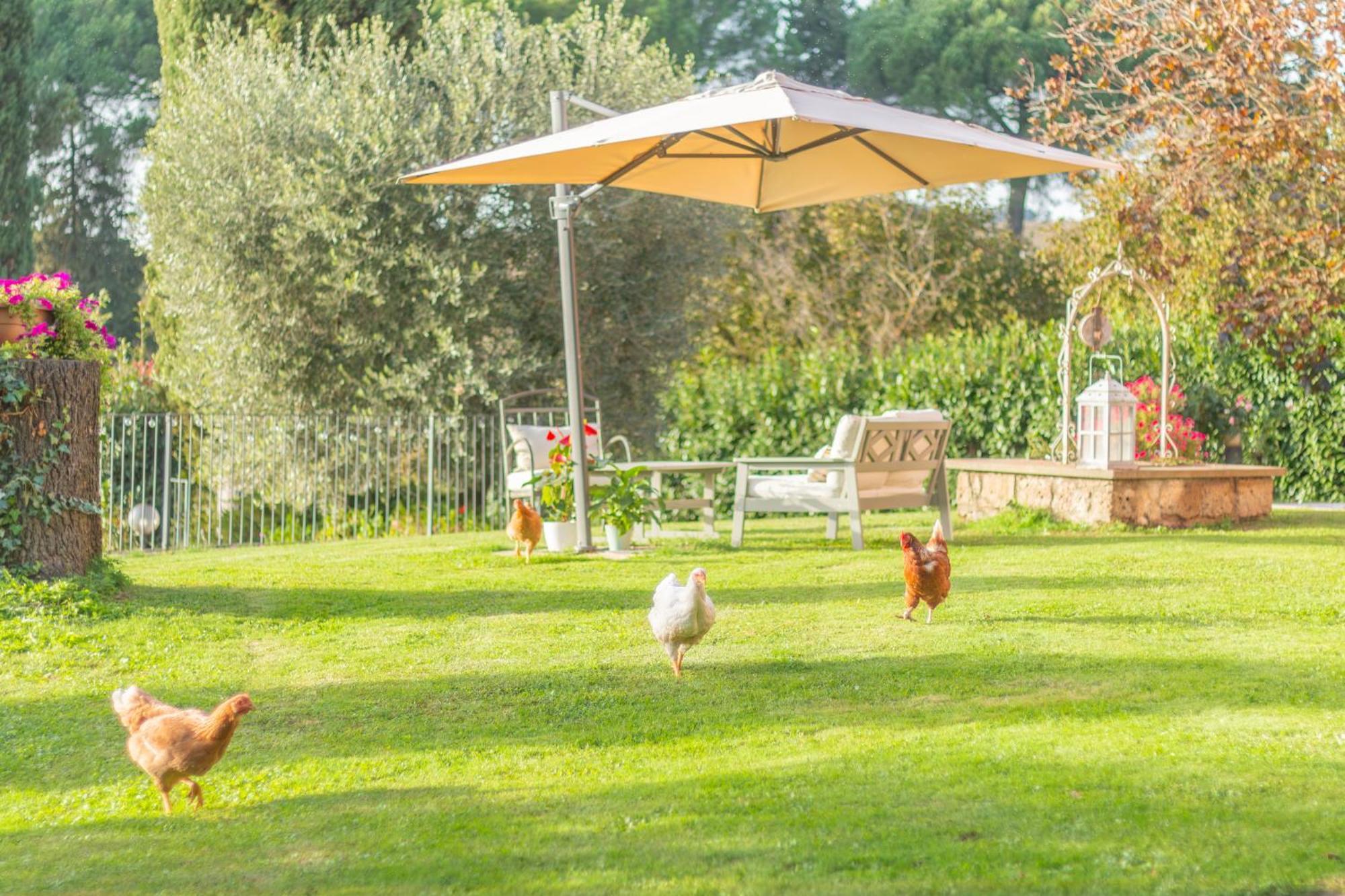 Ai Due Cedri Guest House Capranica Bagian luar foto